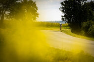 Course de la Paix Juniors / Závod míru juniorů 2025